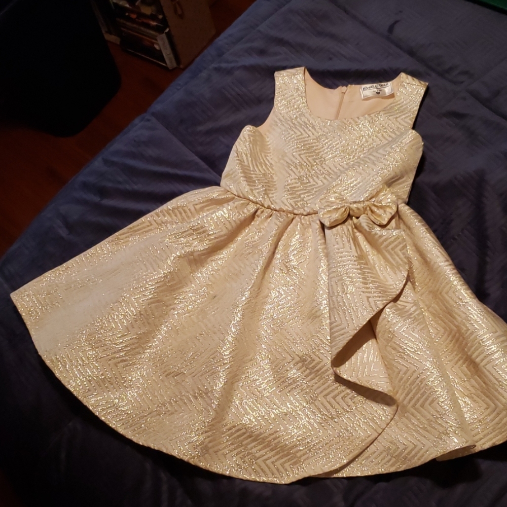 Girl's holiday dress